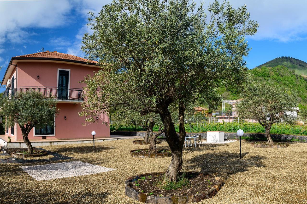 Bee Happy - Bed And Breakfast Zafferana Etnea Exterior photo