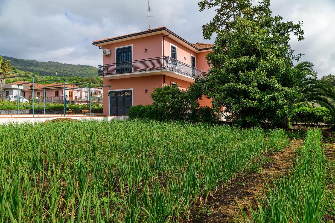 Bee Happy - Bed And Breakfast Zafferana Etnea Exterior photo